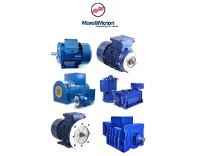 marelli