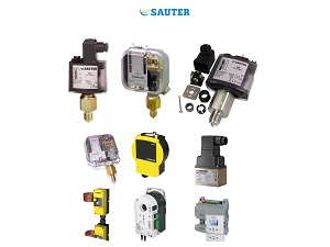 sauter